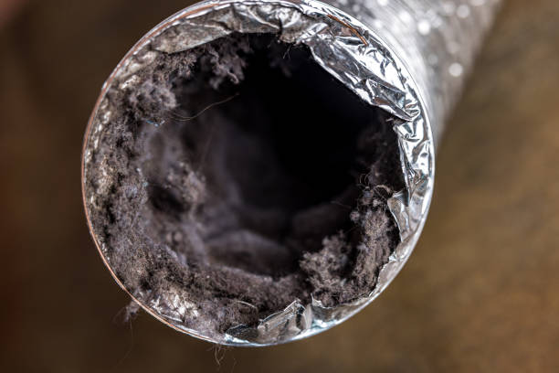 Best Emergency Air Duct Cleaning  in North Kingsville, OH