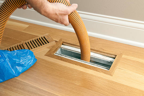 Best Air Vent Cleaning Services  in North Kingsville, OH